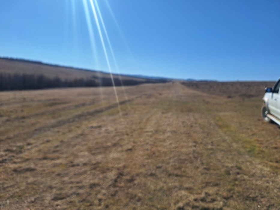 Curatam pasuni și terenuri împădurite