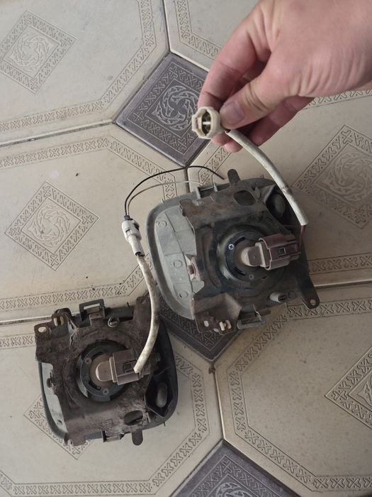 Әйелдердегі ең үлкен қынап