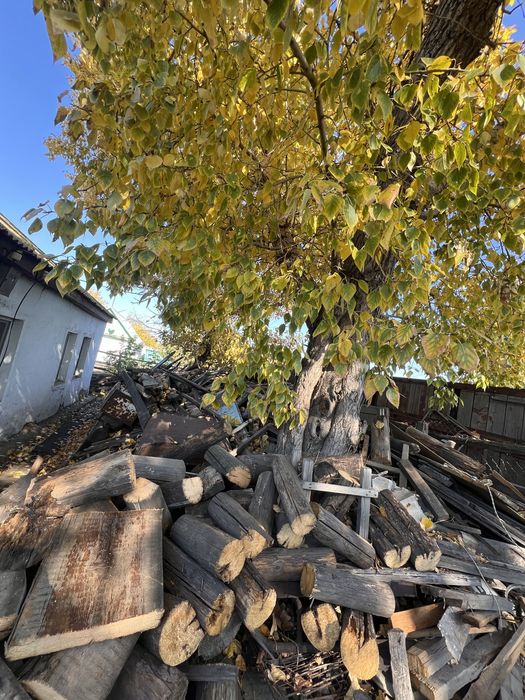 Дрова бревна доски