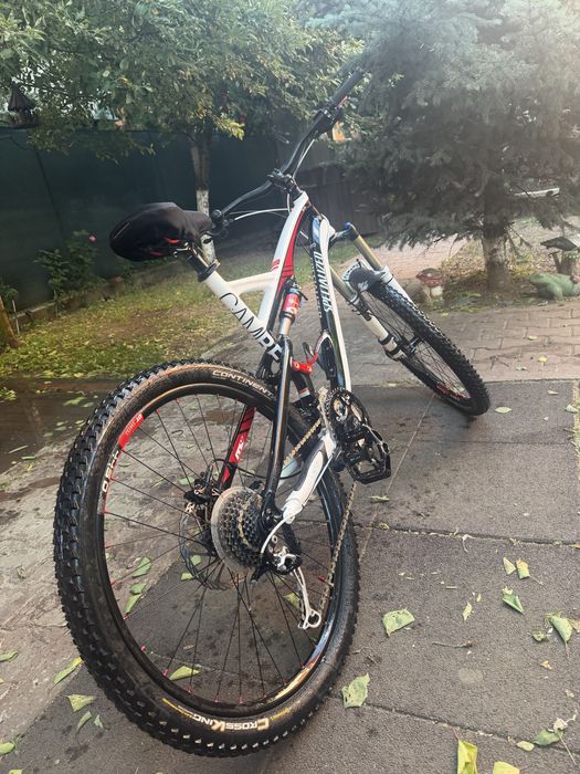 Specialized camber