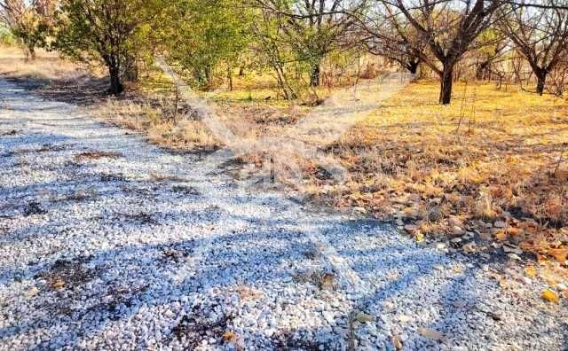 Продава се Парцел в с. Цалапица, Област Пловдив - 3600 кв.м за 25 €/кв.м - Снимка #1