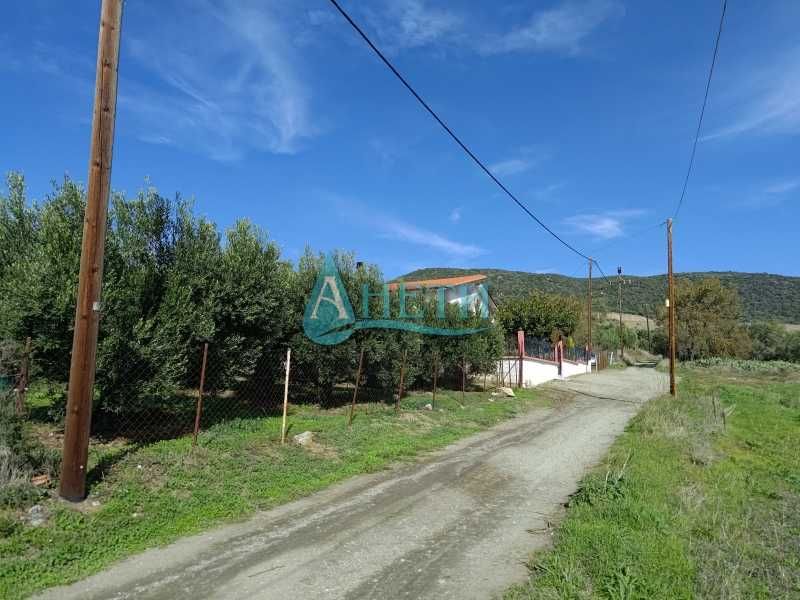 Продава се Парцел в София, Гео Милев - 1000 кв.м за 10 €/кв.м - Снимка #2