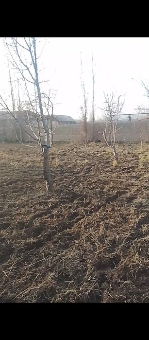 Maktab.bohicha.doʻkonlar.bor