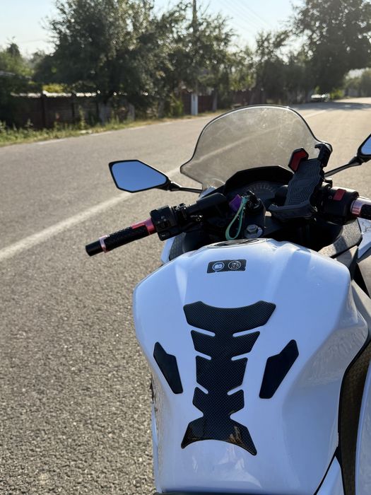 Kawasaki Ninja 300 ABS – 2014 A2