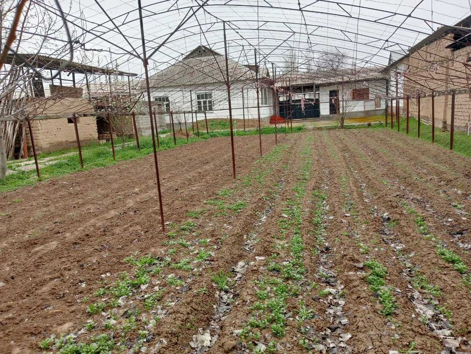 Uy sotiladi. Дом продаётся