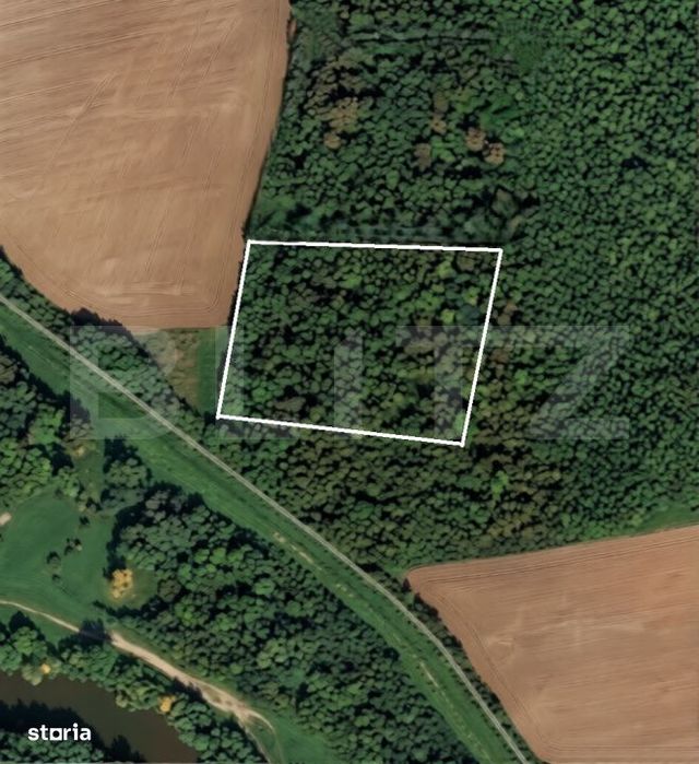 Parcela 10.000 mp la liziera padurii, Șag – front stradal 40m