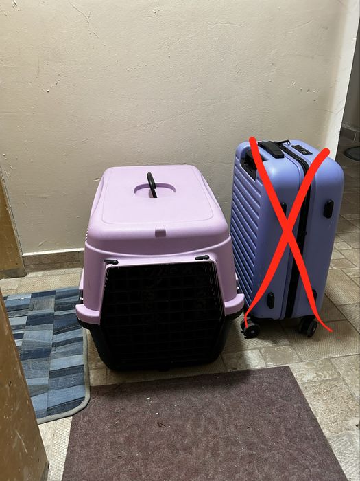 РЕЗЕРВИРАНО ДО 21.02 Котка всичко за 100€ прочети описание