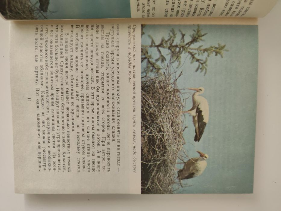 Книги о животных и птицах