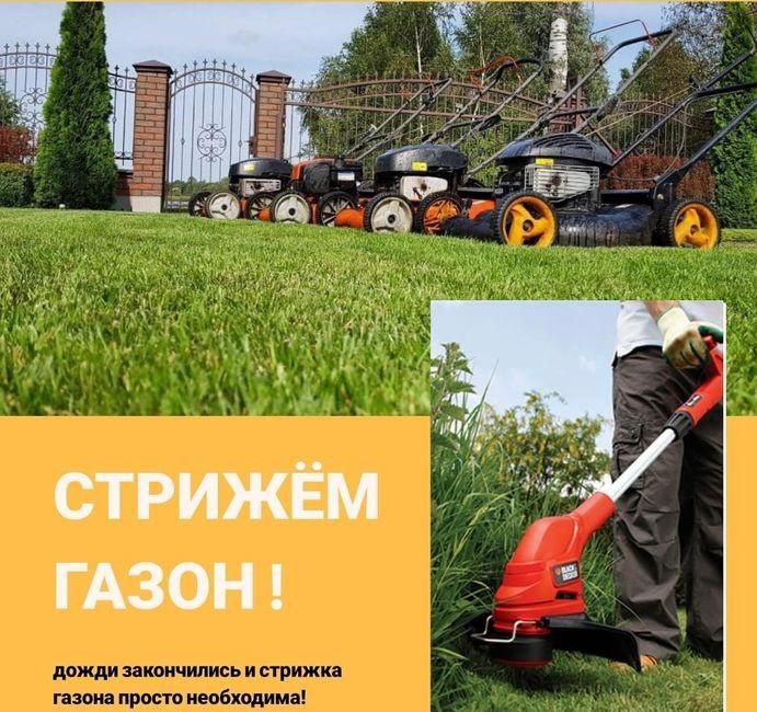 Профессиональный Садовник