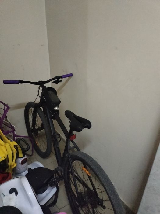 GESTALT Pele 2025 19 дюймов