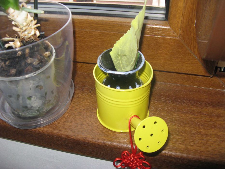 Canon PowerShot A720 IS   8 MPx