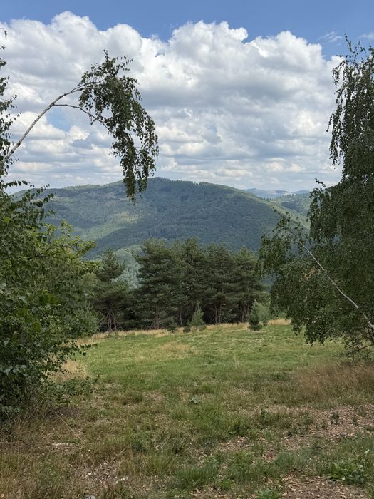 Teren în Damiș cu panoramă superbă spre Vlădeasa – altiudine 820 m, curent și apă la limită