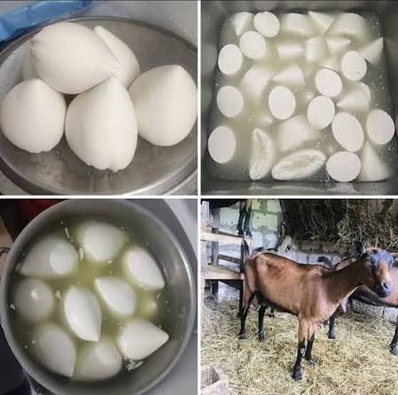 Brânza de capră 30 lei kg