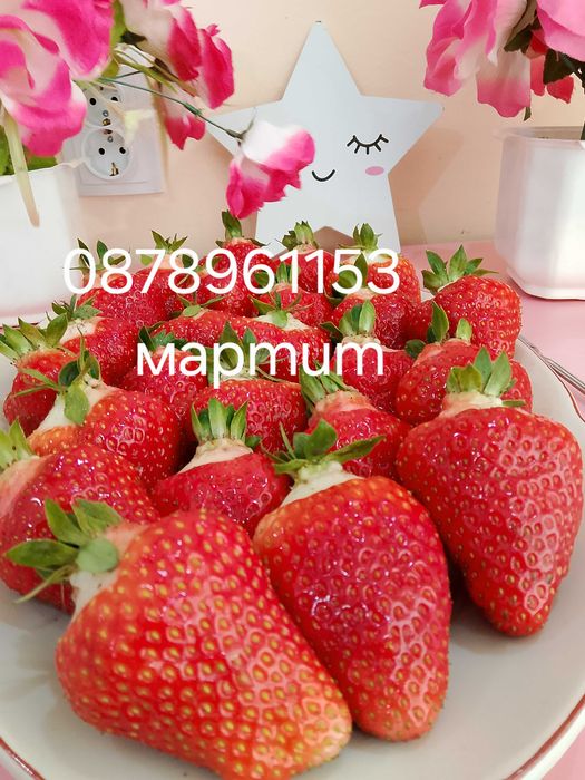 Разсад ягоди и малини