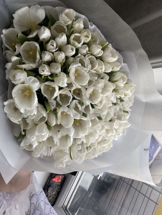 тюльпаны 101штука