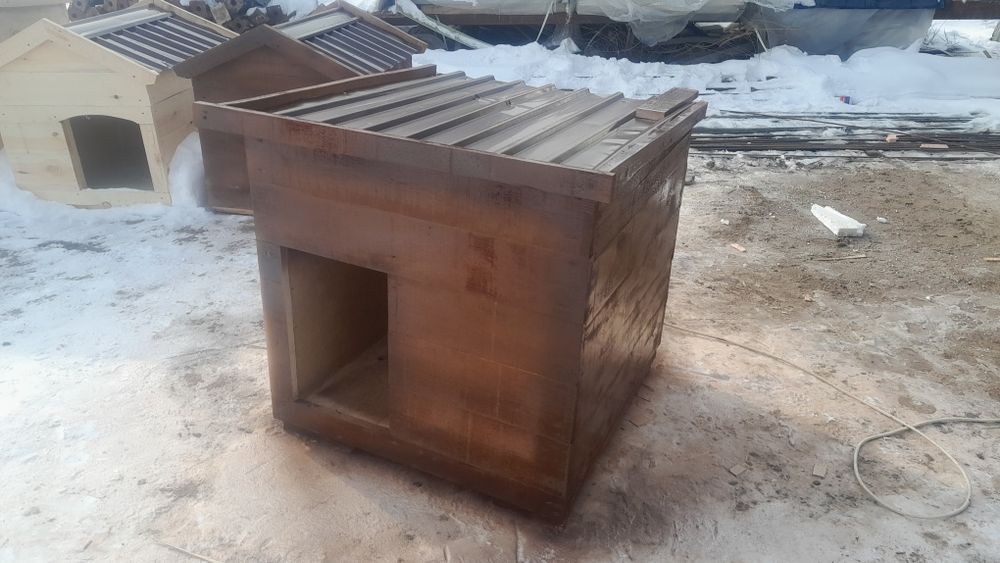 Собачье.     будка