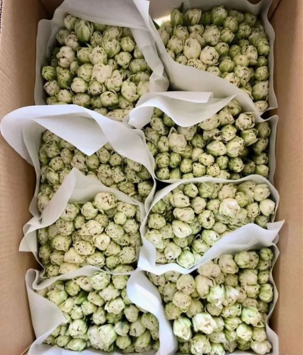 Тюльпаны для ваших близких