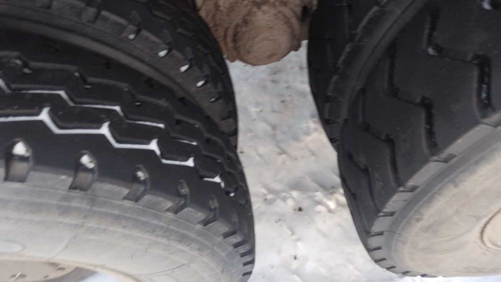 Продам  Шахман 2015 года