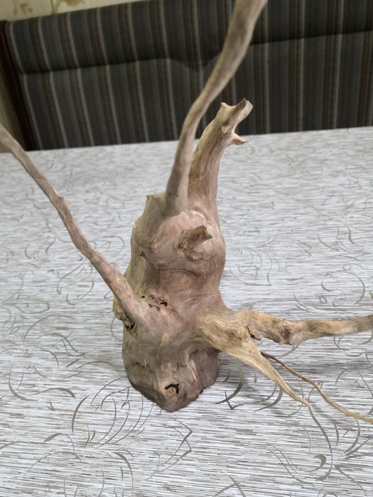 Коряга в аквариум