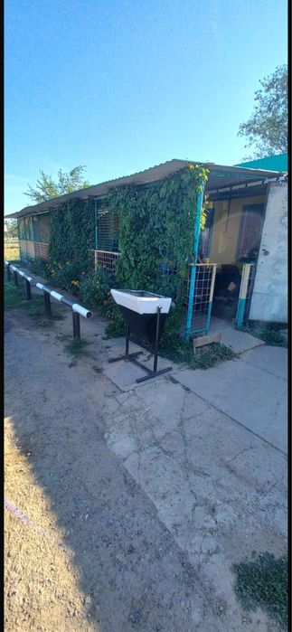 Действующее кафе 21 миля