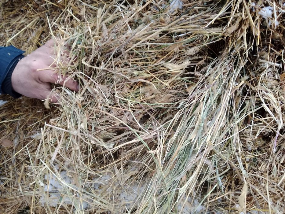 Жай шоп .разнатравия...