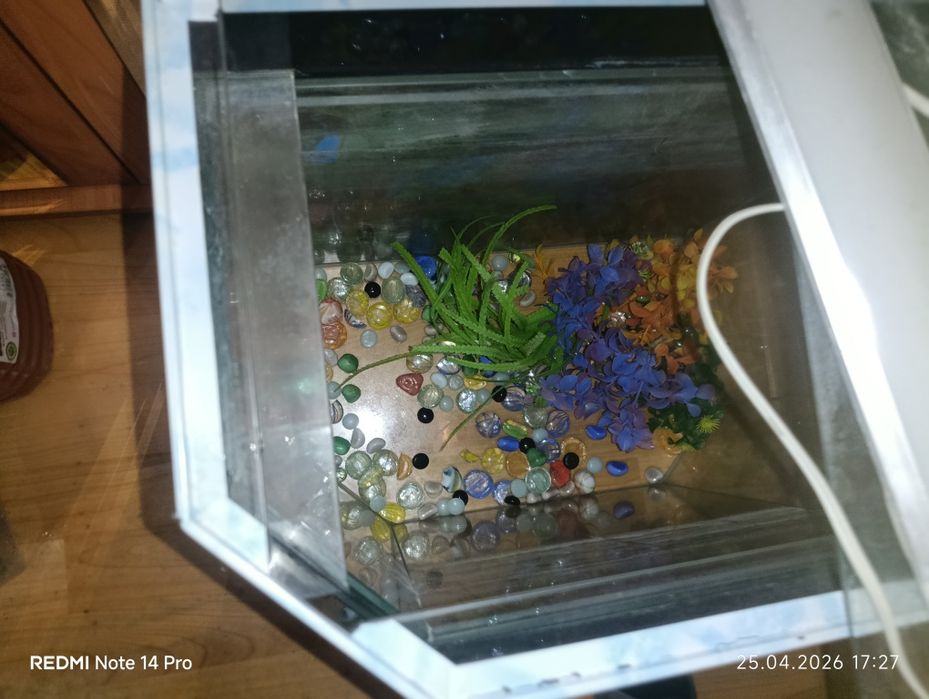 Продам аквариум .