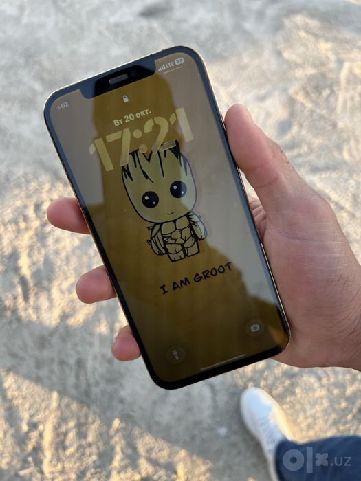 Iphone 12 Pro Max