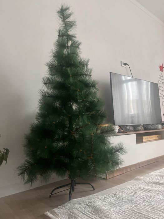 елочкака метровая