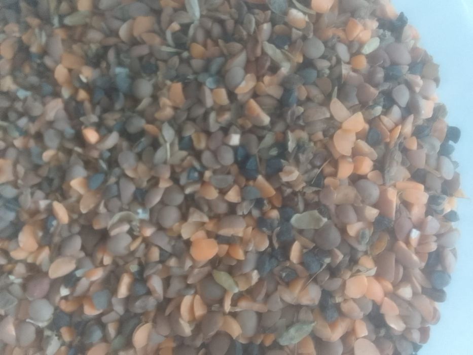 Отходы Отруби зерноотходы Полова Овес