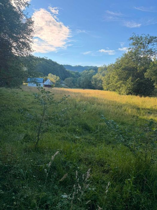 TEREN INTRAVILAN - Valea Vinului - Viseu de Sus - 25.8 ARI