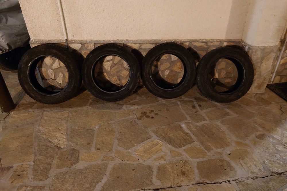 Зимни гуми Bridgestone Biizzak LM005 205/60 R16