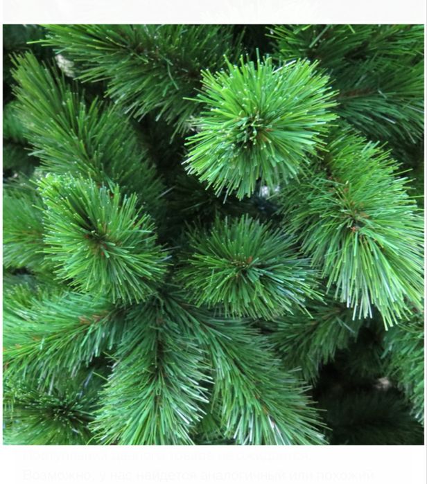 Ель новогодняя