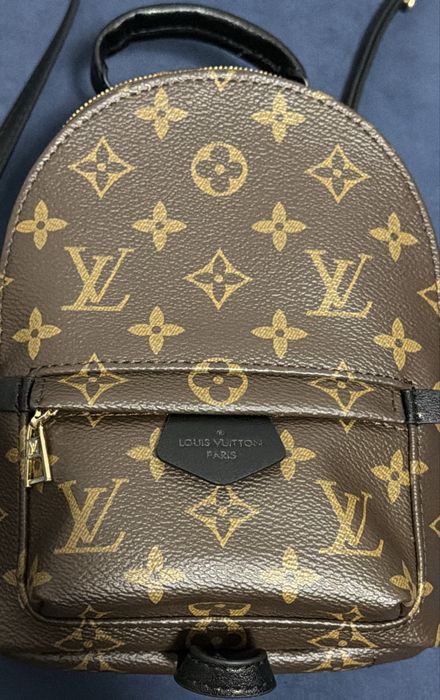 Louis Vuitton Palm Springs Mini