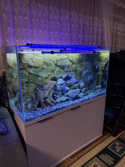 Аквариум на 420 литров .