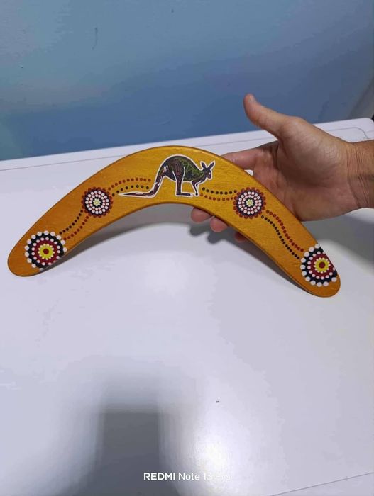 Бумеранг неупотребяван