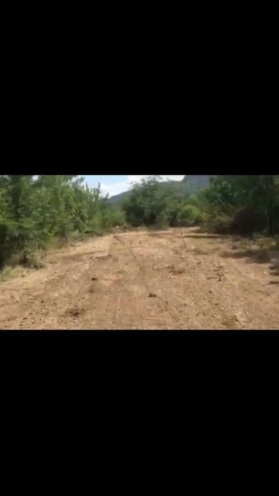 Предлагане на услуги С Булдозери и мулчер.