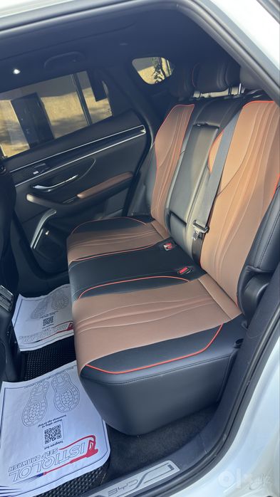 Byd chempion Dm-i