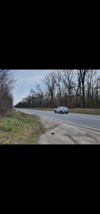 Vand padure Dambovita