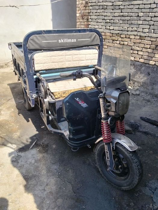 Skuter elektorlik