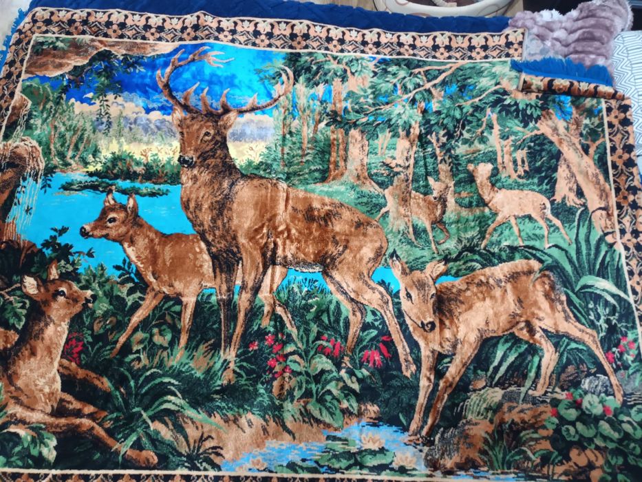 Vand peretare noi noute