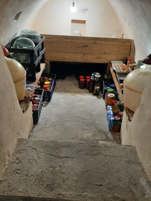 Vilă unică la liziera pădurii-stațiunea Soveja