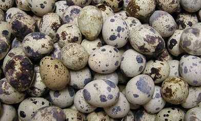 Перепелиные яйца