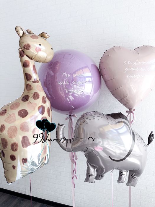 гелиевые шары/ выписки из роддома/оформление/красная дорожка