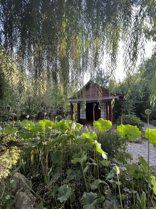 Экскурсии.Горы.Трансфер.Чимган. Чарвак.Амирсой. Минивэн, электрокар