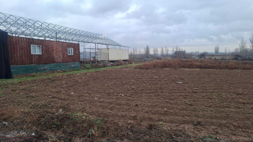 срочно Назарбекда 35 сотих ер дехқончилик учун ижарага