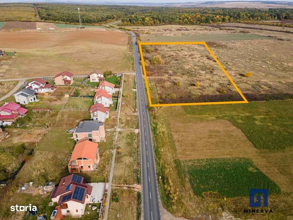 Teren pentru parcelare, 19000 mp, Pischia, comision 0