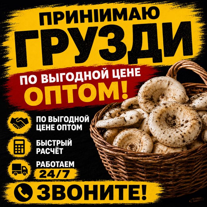 Гузди грибы закуп