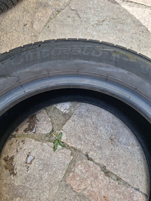 205 55 16 Pireli Cinturato