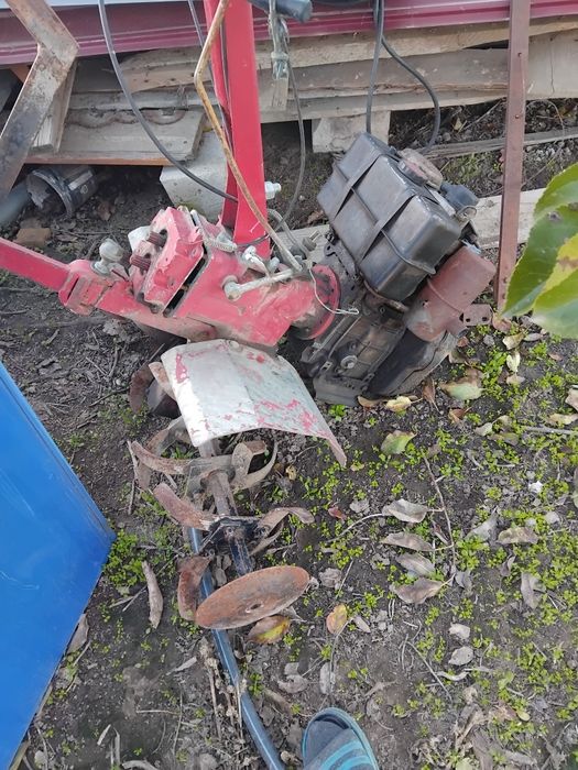 Motocultor lombardini