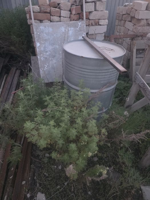 Продам бочки 200 литров